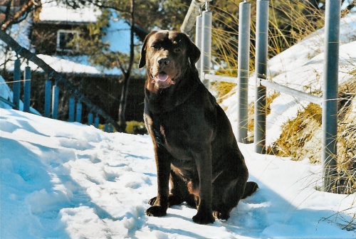 schnee001