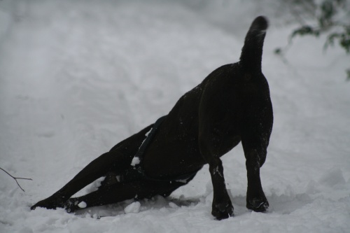 schnee016