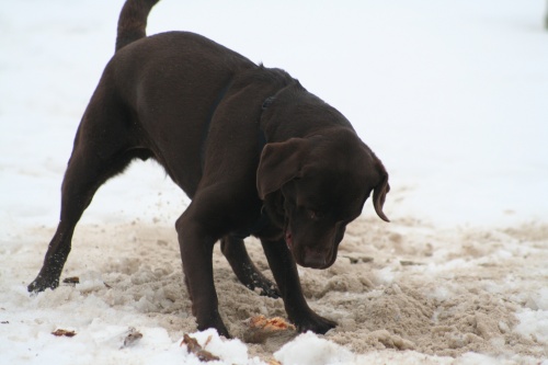 schnee050