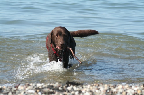 wasser005