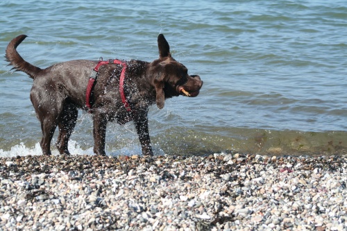 wasser019